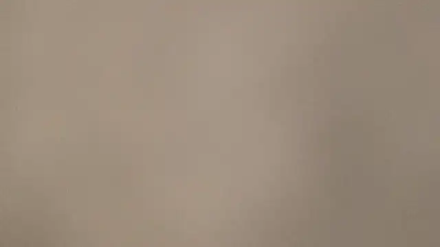 reo0281 online show from 5, 12, 2025