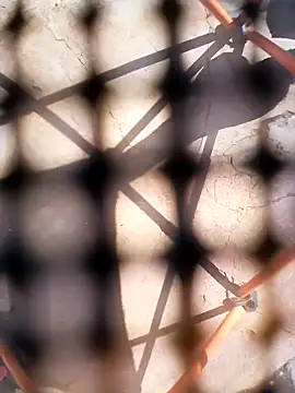 Eezxxx online show from 3, 12, 2025