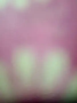 Snapshot of Nandani-758 chatting on 17, 1, 2026 Nandani-758 online show from 17, 1, 2026