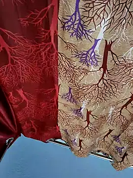 Rupabhabi61 online show from 22, 11, 2025