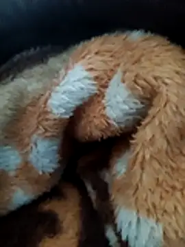 Hotboylumia 825321 online show from 20, 12, 2025