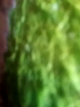 Rico123san online show from 25, 3, 2026