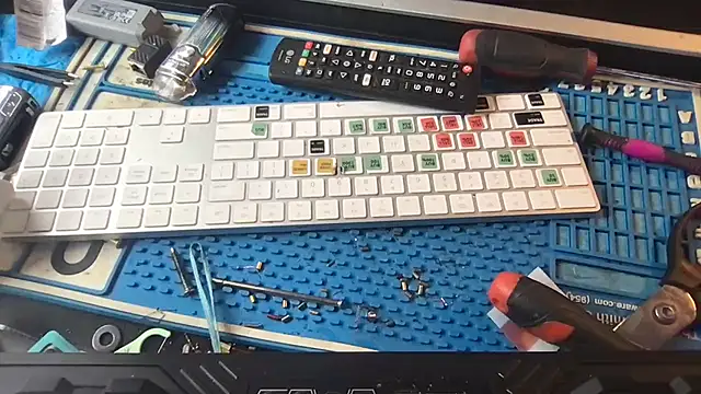 SinlessFreedom7 online show from 31, 1, 2026