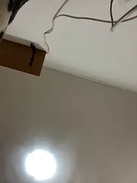 CrazyJessika online show from 6, 3, 2026