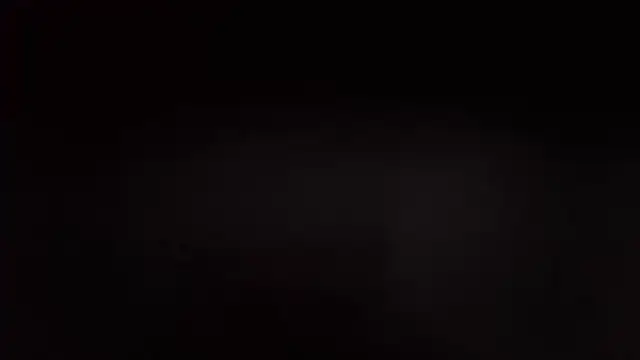 Elviracutie online show from 5, 12, 2025