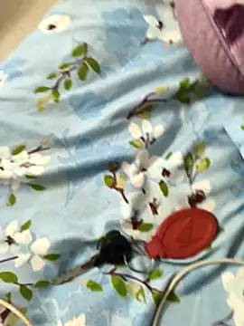 paro22 sex online show from 2, 12, 2025