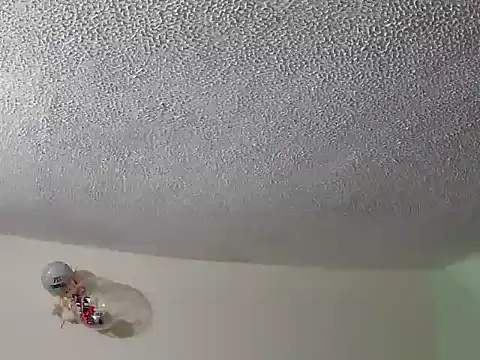 Snapshot of ashleey_palmer chatting on 2, 12, 2025 ashleey palmer online show from 2, 12, 2025