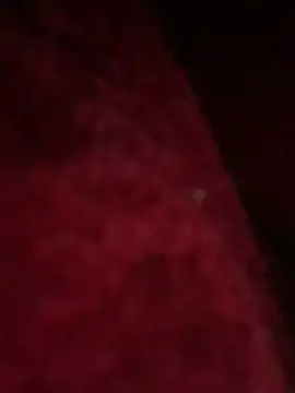 Snapshot of hotel222 chatting on 27, 11, 2025 hotel222 online show from 27, 11, 2025