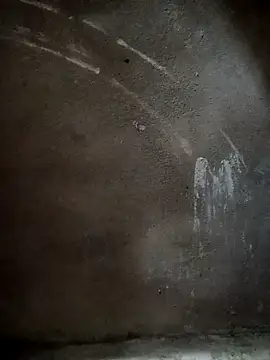 nangmo online show from 17, 1, 2026