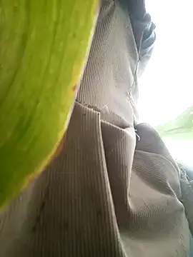 Snapshot of nangmo chatting on 17, 7, 2026 nangmo online show from 17, 7, 2026