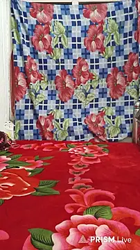 luckyutube online show from 4, 4, 2026