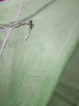 Daily lust online show from 27, 2, 2026