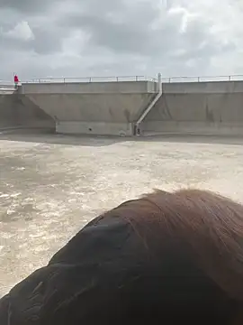 Xiaomili8 online show from 20, 12, 2025