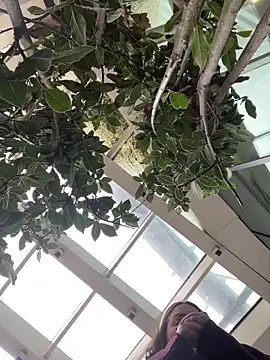 KateBurlesk online show from 1, 2, 2026