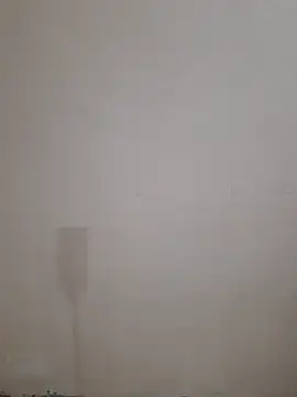 Alli8900 online show from 20, 12, 2025