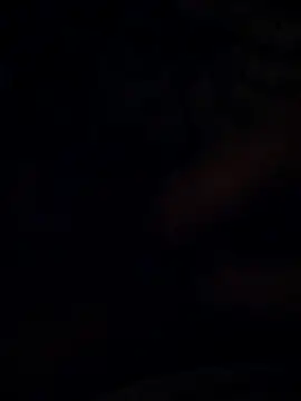 BarrenProtege online show from 24, 11, 2025