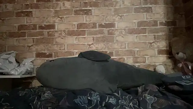 Blair Reid online show from 29, 11, 2025