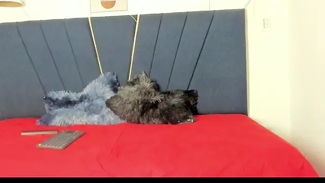 naomi x0 online show from 18, 1, 2026