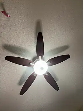 Kiki hammyy online show from 20, 2, 2026