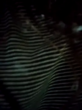 EweXZZ online show from 24, 2, 2026