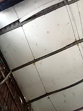 Lin-kute98 online show from 9, 4, 2026