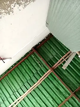 Lin-kute98 online show from 6, 3, 2026