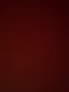 kamal974 online show from 4, 3, 2026