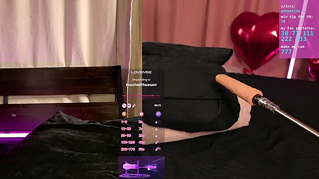 webpetite online show from 20, 2, 2026