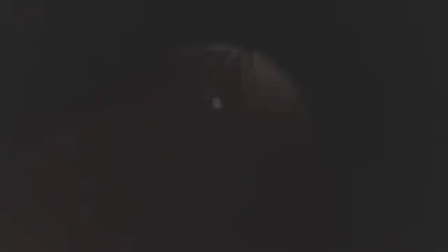 megan lenon online show from 19, 12, 2025