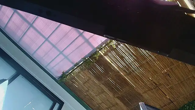 cata muakgb online show from 20, 4, 2026