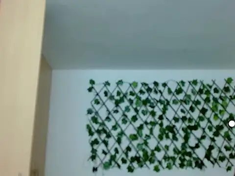 kuroneko 97 online show from 29, 11, 2025