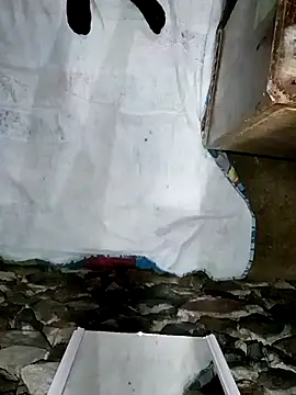 sexygosht online show from 5, 12, 2025