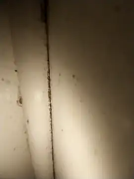 AdvancedRoster online show from 21, 4, 2026