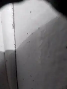 AdvancedRoster online show from 16, 2, 2026