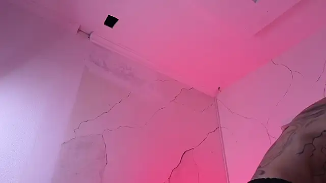 Paulo 527 online show from 21, 4, 2026