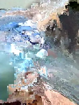 Harry254238 online show from 15, 1, 2026