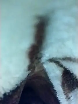 Harry254238 online show from 6, 1, 2026