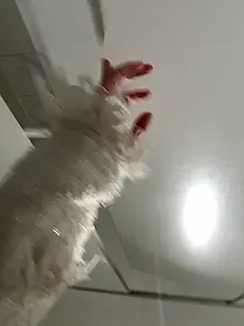 Seven-017 online show from 21, 12, 2025