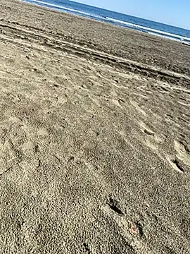 ratemydickbabe online show from 1, 12, 2025