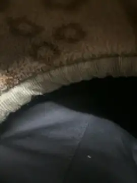 your playboy 00 online show from 6, 2, 2026