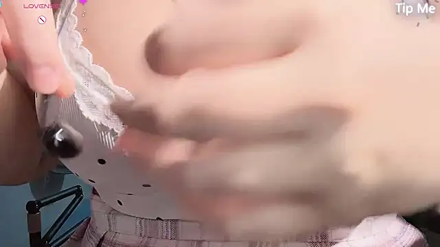 LT-333 online show from 3, 4, 2026