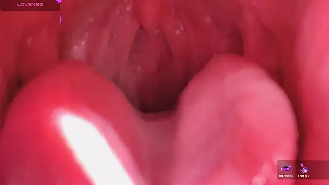 LT-333 online show from 6, 3, 2026