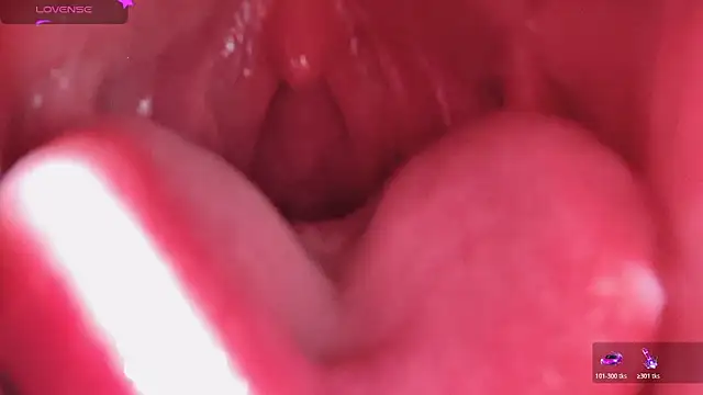 LT-333 online show from 13, 2, 2026