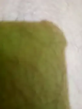 hectorpuga9 online show from 5, 3, 2026