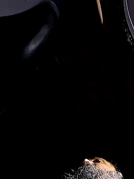 Joes cock online show from 12, 3, 2026