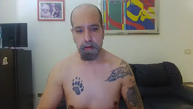 Snapshot of AMIRDIB2025 chatting on 3, 8, 2026 AMIRDIB2025 online show from 3, 8, 2026
