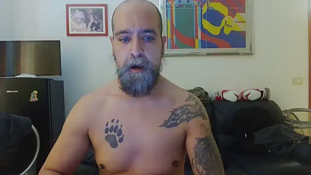AMIRDIB2025 online show from 15, 6, 2026