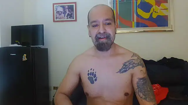 Snapshot of AMIRDIB2025 chatting on 30, 7, 2026 AMIRDIB2025 online show from 30, 7, 2026