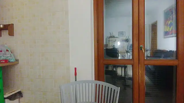 AMIRDIB2025 online show from 13, 3, 2026