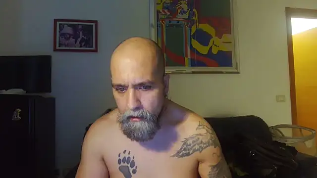 AMIRDIB2025 online show from 12, 6, 2026